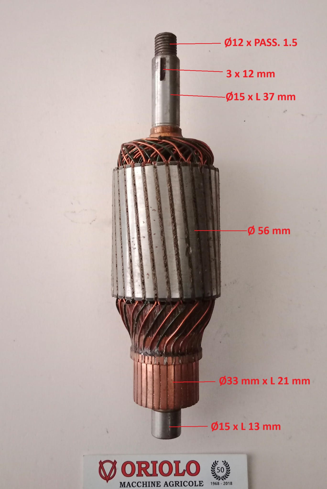 INDOTTO PER DINAMO PLURIMARCHE